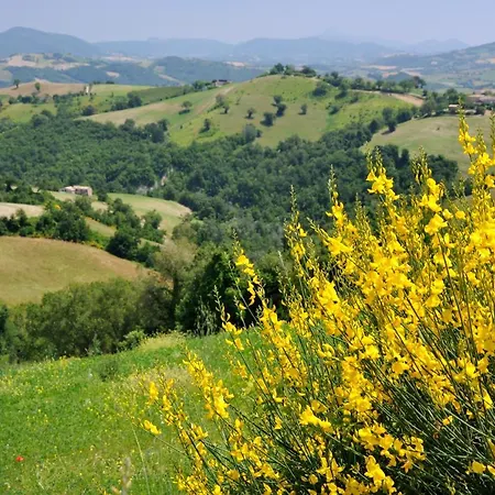 Casa Tartufo Lejlighed Sassoferrato